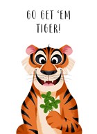 go get em tiger
